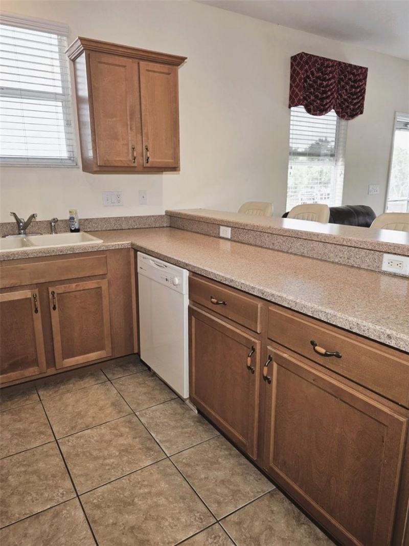 6402 Barcellona Road, Land O Lakes, FL 34637 Photo