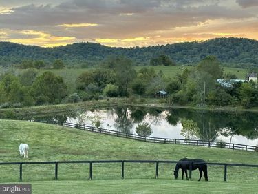 23 WHITE HORSE HILL LANE , AMISSVILLE, VA 20106
