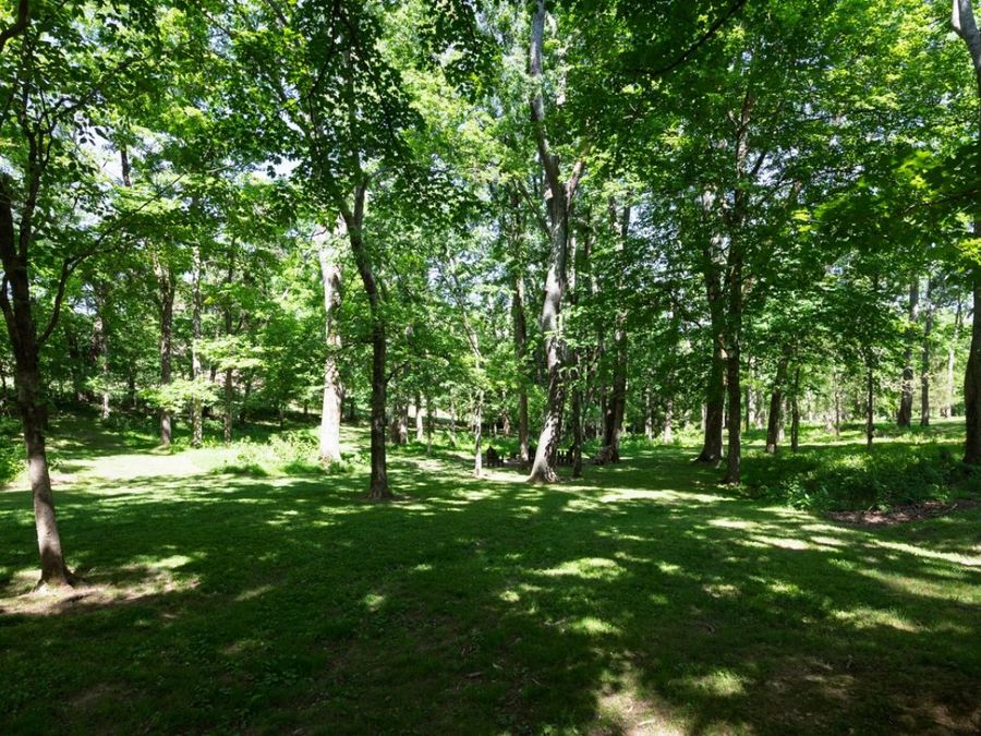 Property Image 56