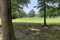 1500 Chestnut Drive  photo 4