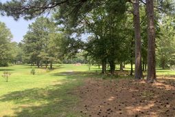 1500 Chestnut Drive  photo 4