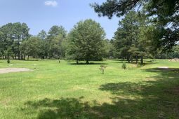 1500 Chestnut Drive  photo 4