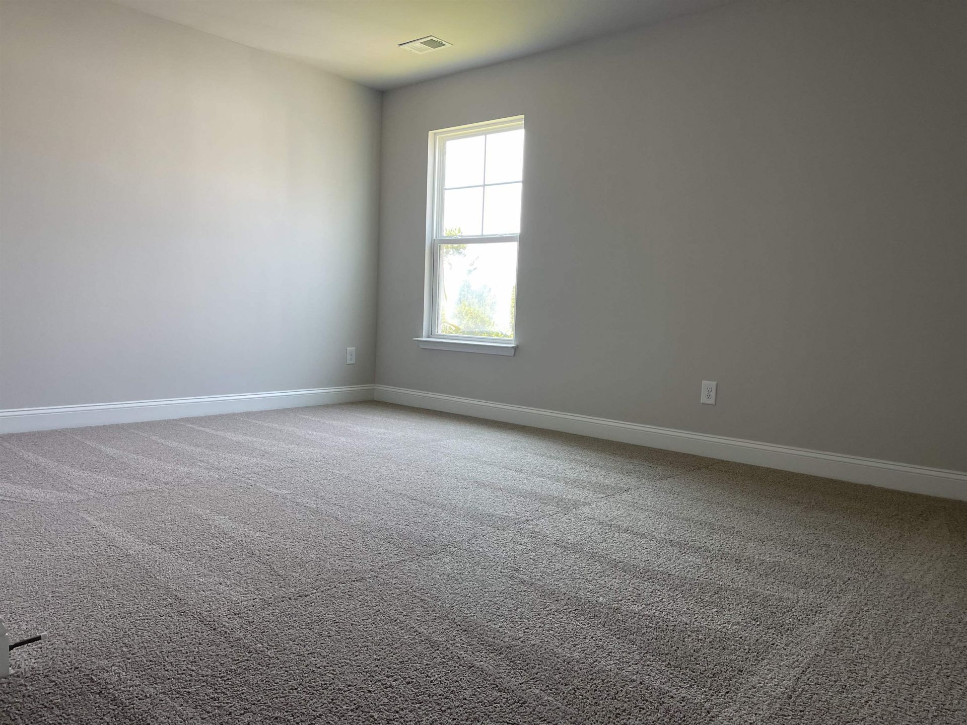 527 Calhoun Falls Dr. Photo 18