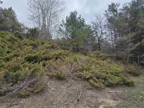 4936 Johnston Hill Road, Harbor Springs, MI 49740
