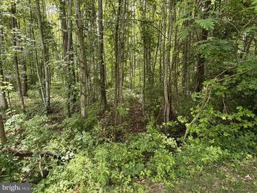 OVERTON DR , BUMPASS, VA 23024
