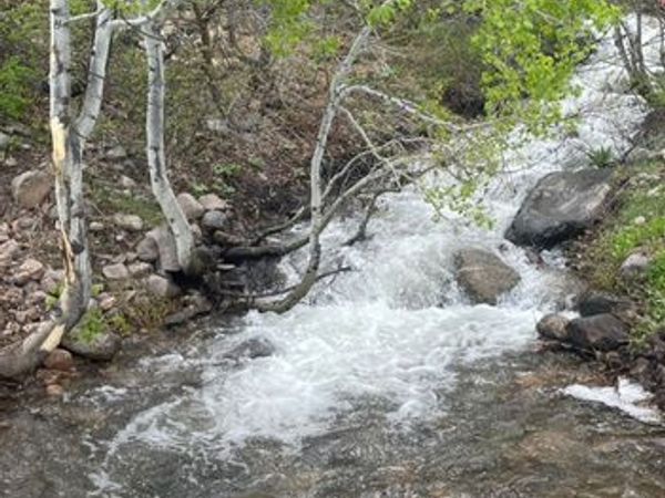 466 N OAKWOOD DR, Unit 1, Springville, UT 84663