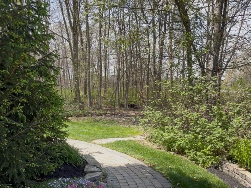 7247 Drucilla Street, Pickerington, OH 43147 Photo 2