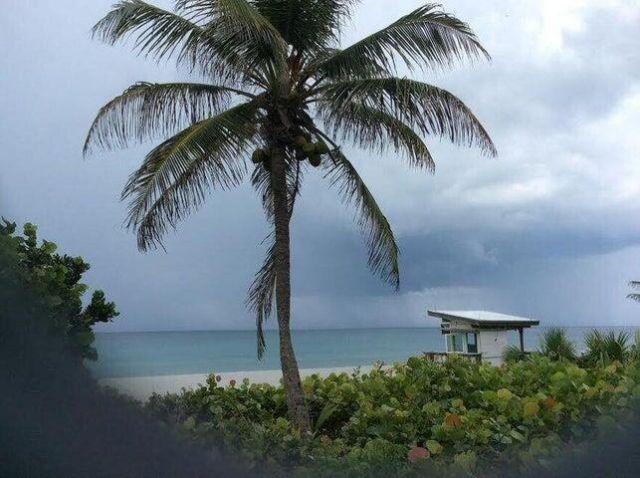 240 W Horizons W, Unit 108, Boynton Beach, FL 33435 Photo