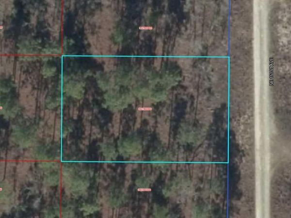 00 NE 151ST AVENUE , WILLISTON, FL 32696