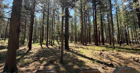 3406 Warr Road, South Lake Tahoe, CA 96150 Photo