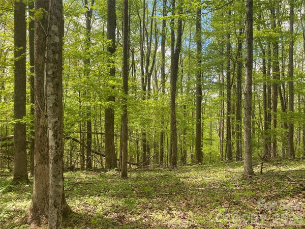TBD US 23 Highway , Mars Hill, NC 28754