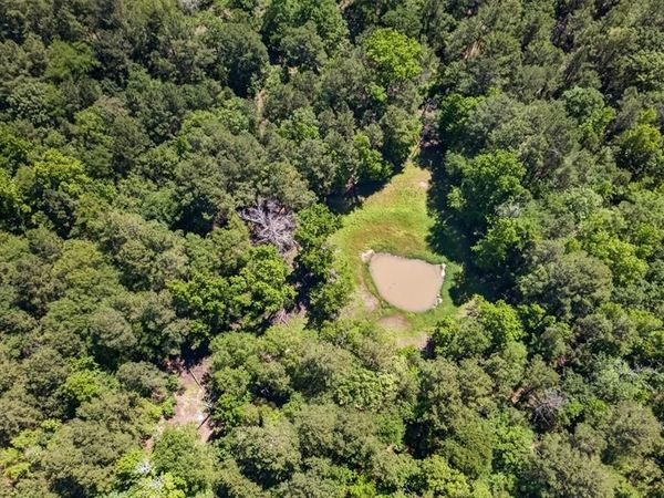 0 Anderson County Road 359 (Off), Palestine, TX 75801