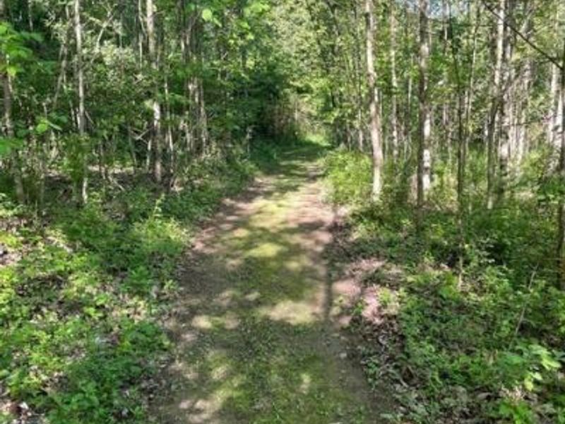 15393 Shade Road, OH 45735 Photo 35