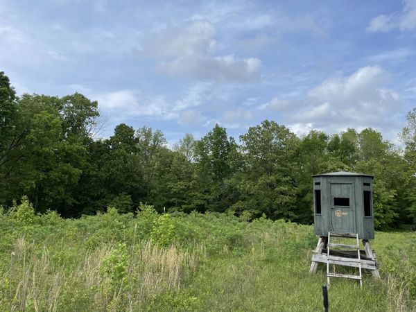 0 Kizer Ridge Road , Erin, TN 37061