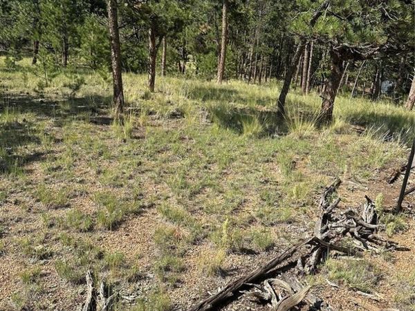 315 Thunder Ridge Road, Florissant, CO 80816