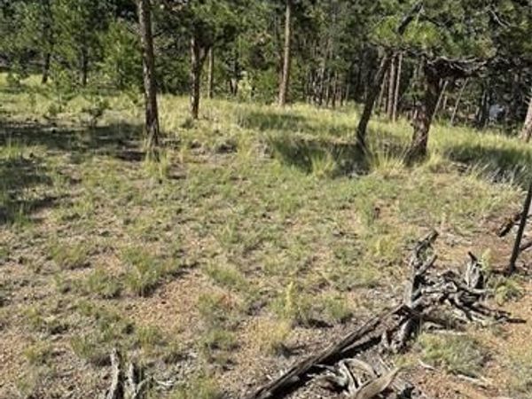 315 Thunder Ridge Road, Florissant, CO 80816