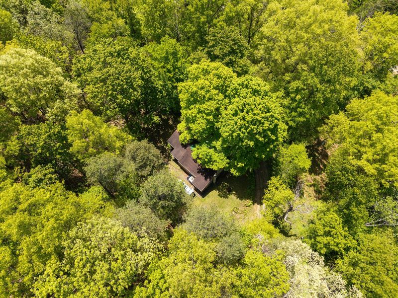 24442 Bushby Road, South Bloomingville, OH 43152 Photo 31
