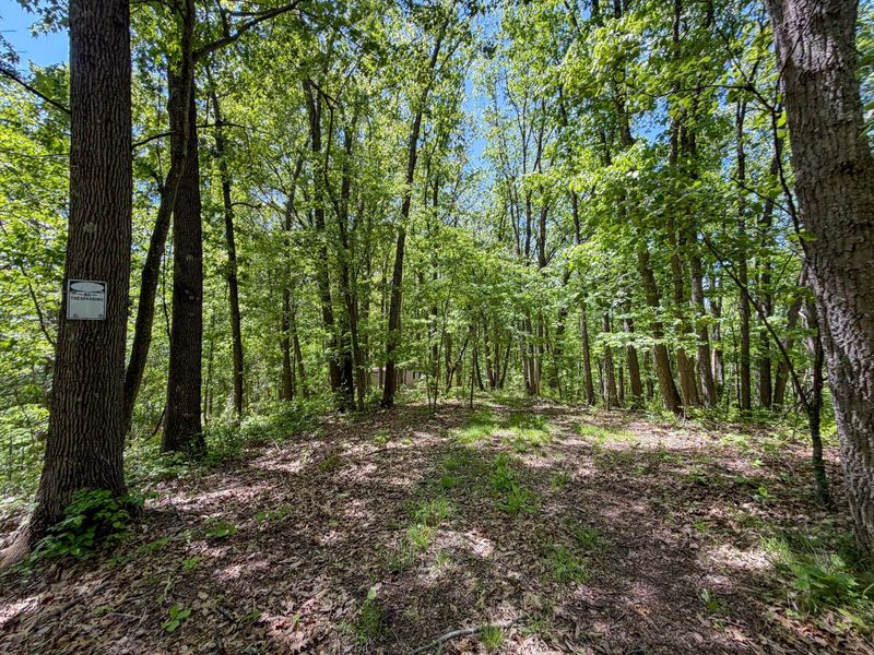 24442 Bushby Road, South Bloomingville, OH 43152 Photo 37