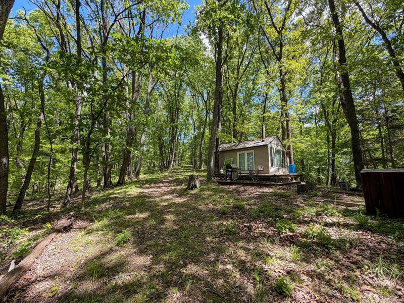 24442 Bushby Road, South Bloomingville, OH 43152 Photo 54