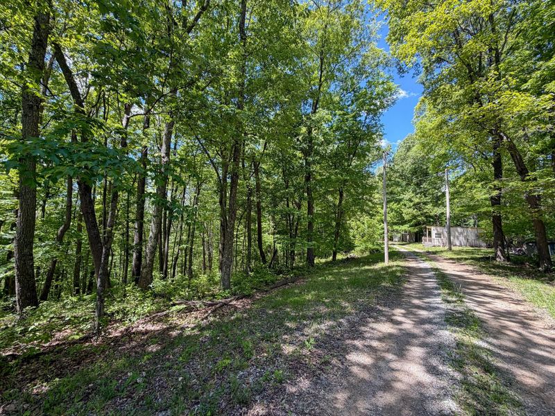 24442 Bushby Road, South Bloomingville, OH 43152 Photo 56
