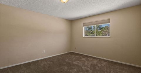201 Simone Avenue, Carson City, NV 89701 Photo