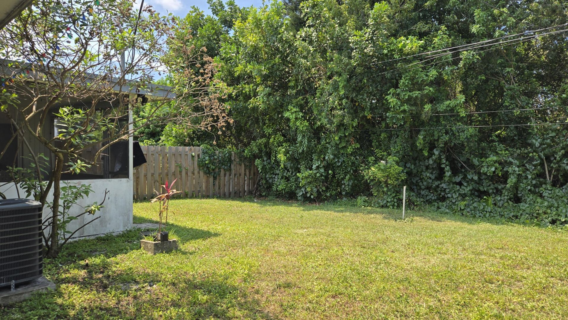 5815 Cleveland Street, Hollywood, FL 33021 Photo