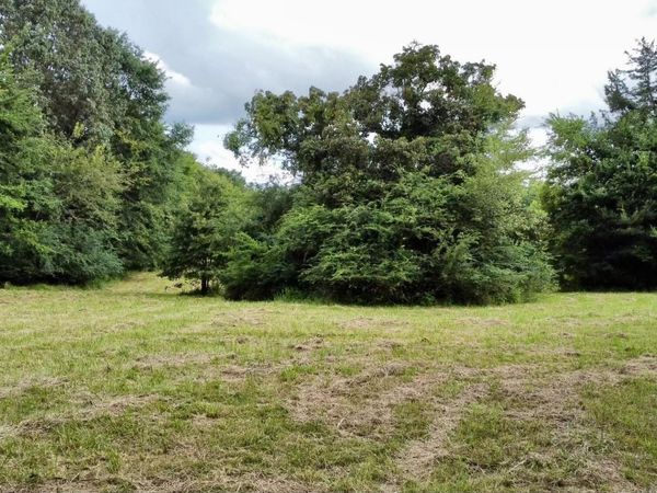 00 Anderson Circle , Henderson, TN 38340