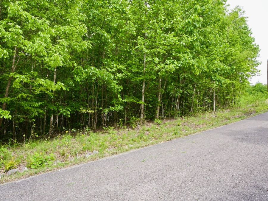 Property Image 6