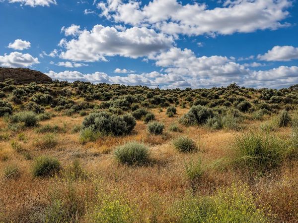 0 Chinook Road, Unit 00200, Christmas Valley, OR 97641