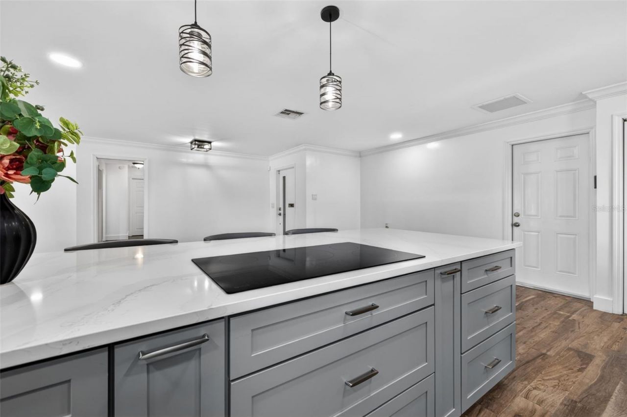 1501 N Dakota Avenue Ne, Saint Petersburg, FL 33703 Photo