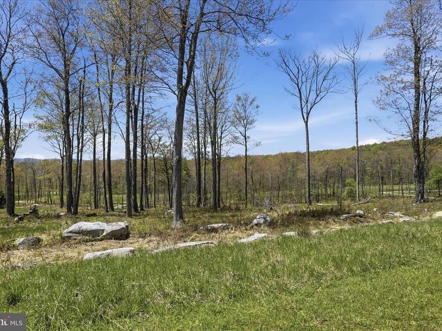Lot 43 Biltmore Ridge Trail , Mc Henry, MD 21541 Main Photo