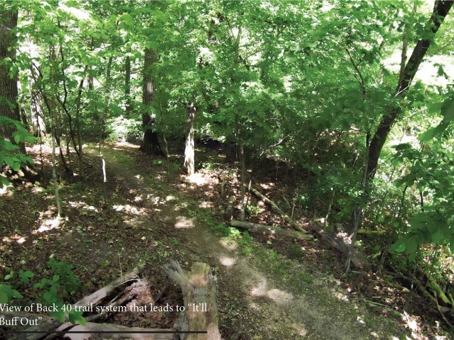 Property Image 51