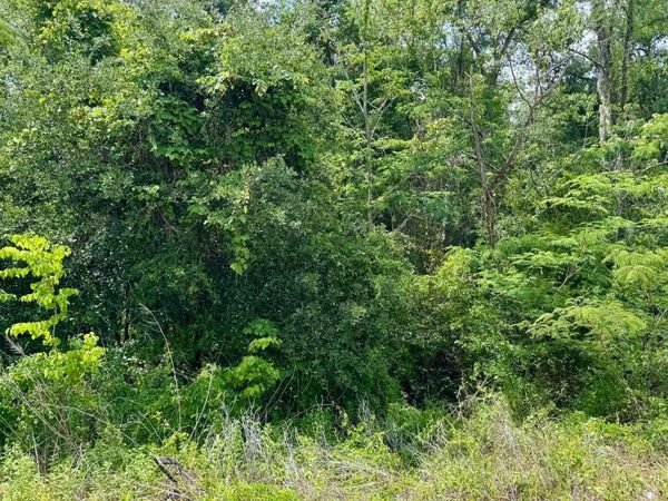 LOT 5 NW 16TH AVENUE, Jasper, FL 32052