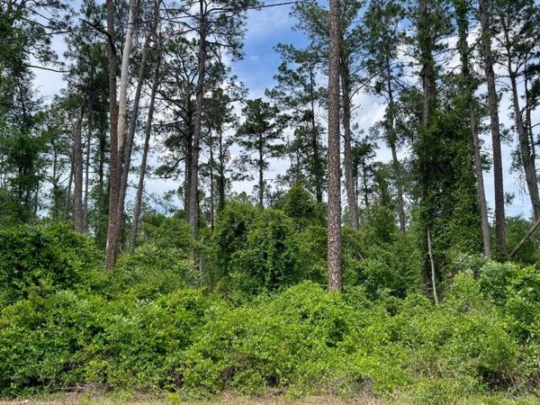 LOT10 MAPLEWOOD ROAD, Jasper, FL 32052
