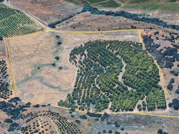 45600 Calle Jardin, Temecula, CA 92590