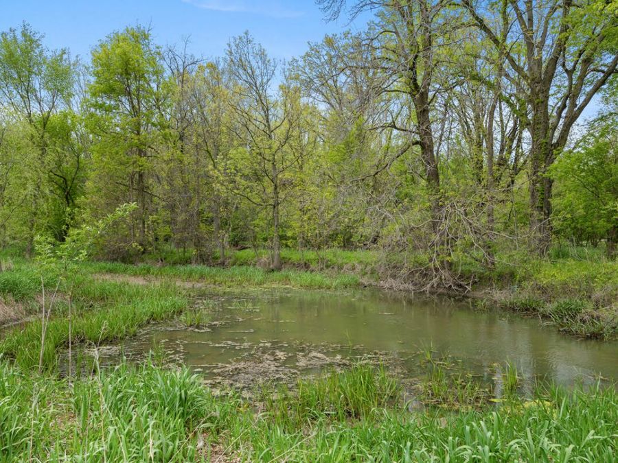 Property Image 63