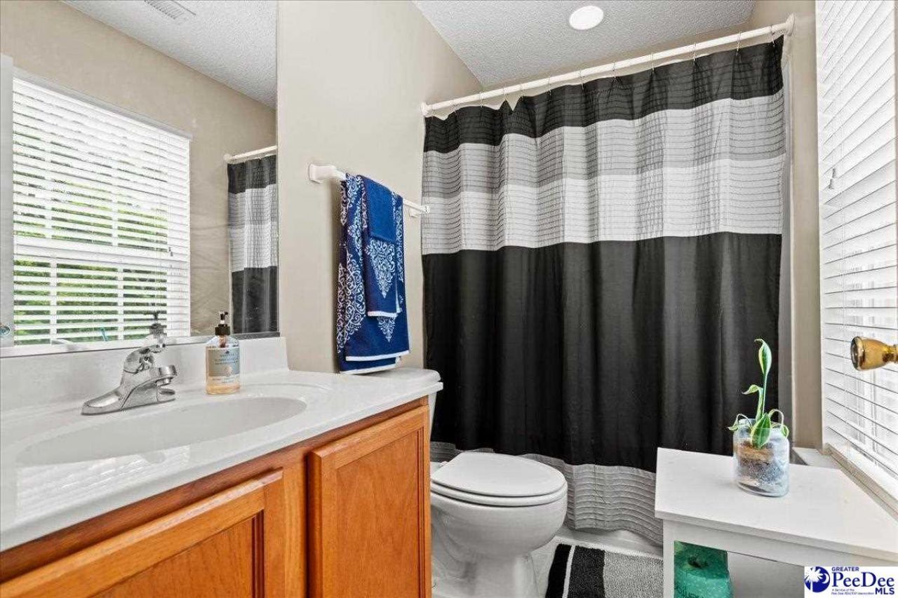 135 Lynches River Drive Photo 21