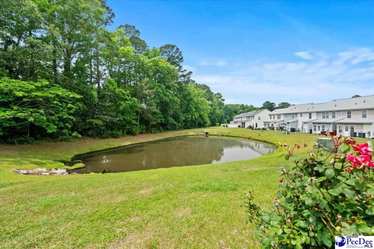 135 Lynches River Drive Photo 26