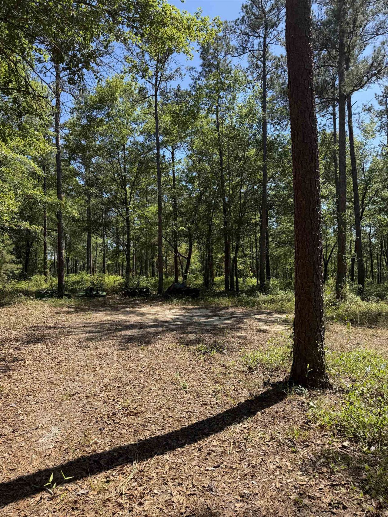 2690 Hardaway Road, Chattahoochee, FL 32324 Photo