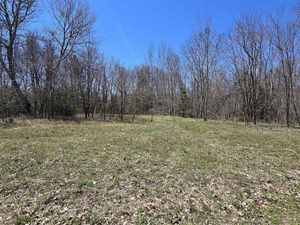 TBD Crestwood Drive, Hancock, MI 49930