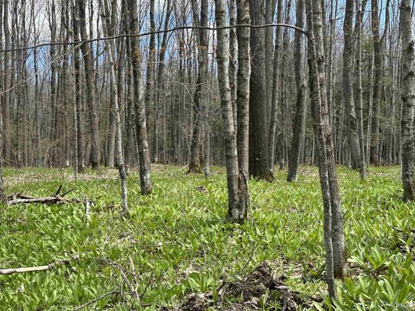 Off East Shore Road, Marenisco Twp, MI 49947