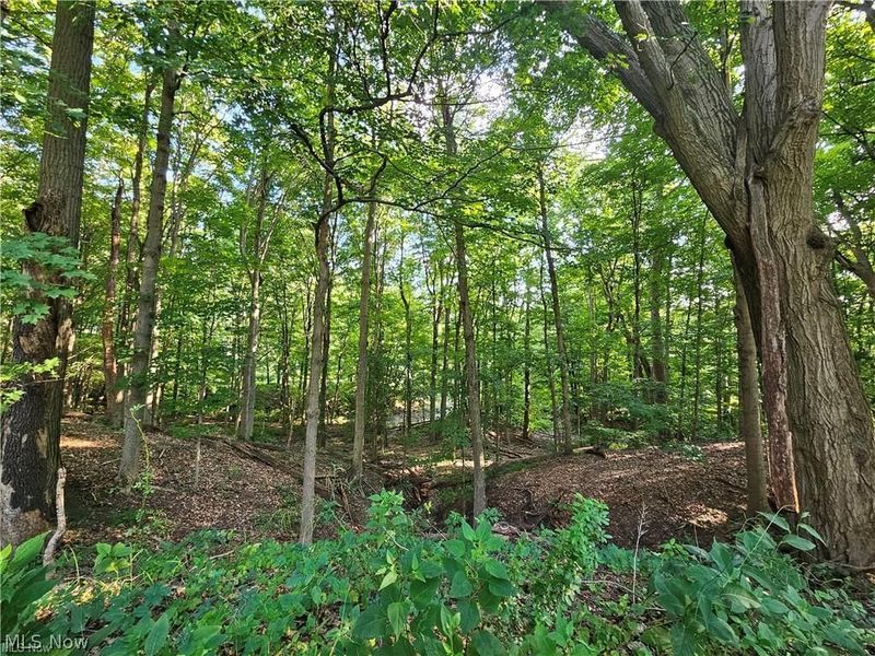 3569 Cleveland Road , Wooster, OH 44691 Photo 39