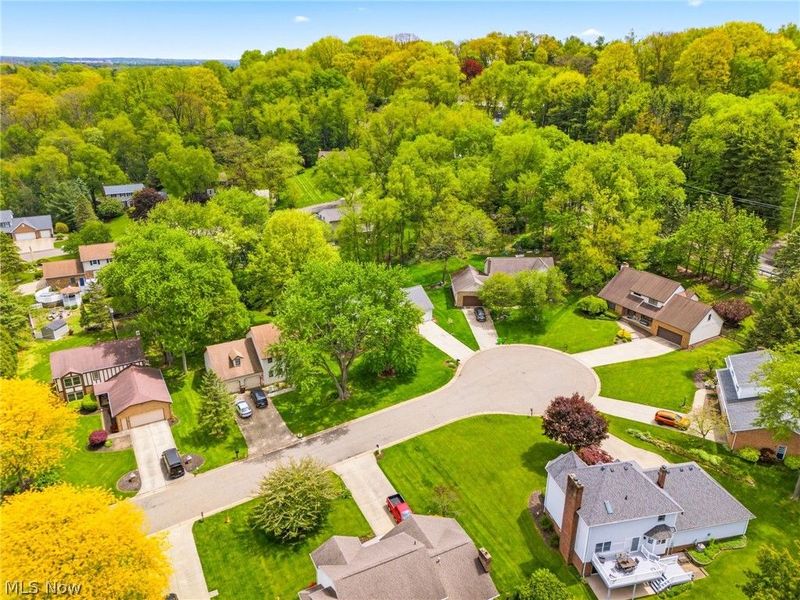 1224 Lost Tree Drive NW, Canton, OH 44708 Photo 43