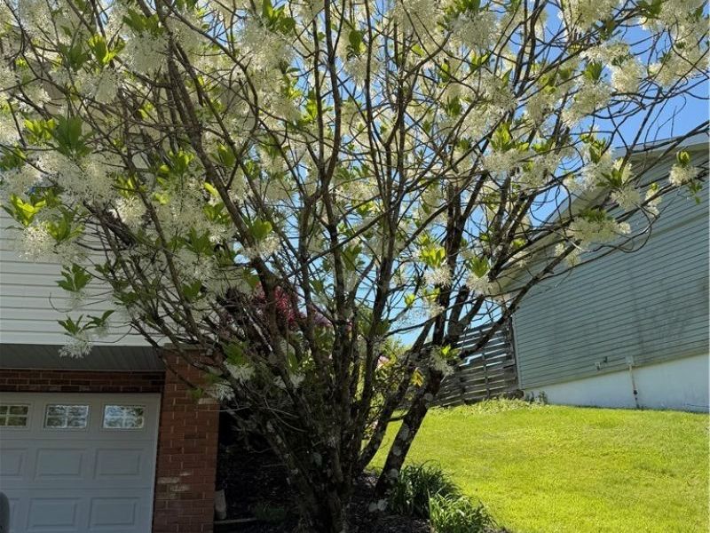 102 Olin Drive, Woodsfield, OH 43793 Photo 49