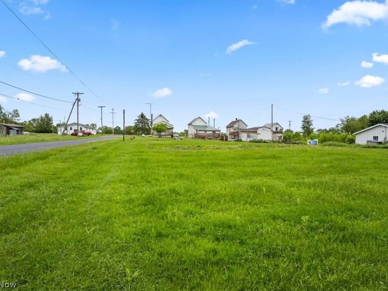 4316 Pleasant Street, Willard, OH 44890 Photo 39