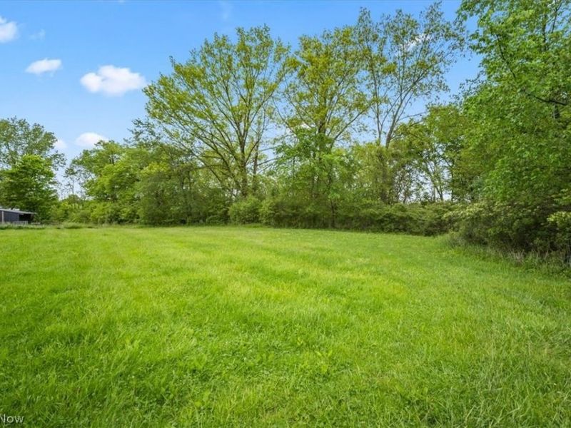 4316 Pleasant Street, Willard, OH 44890 Photo 41