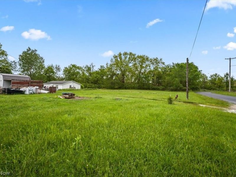 4316 Pleasant Street, Willard, OH 44890 Photo 43