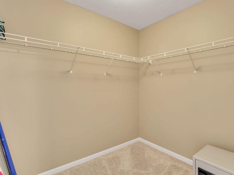 2625 Weyant Street, Lewis Center, OH 43035 Photo 60