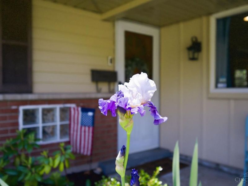 207 Brandenburg Drive, Loveland, OH 45140 Photo 5