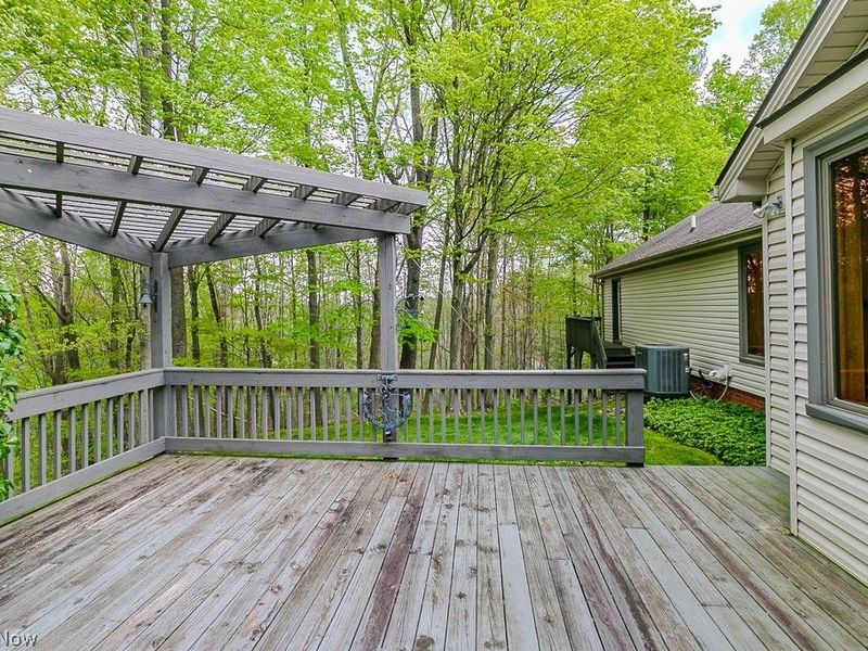 11530 Blackberry Lane, Chesterland, OH 44026 Photo 39